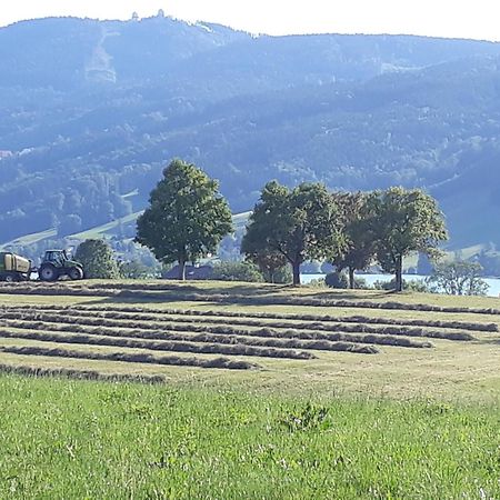 Hideaway Διαμέρισμα Zell am Moos Εξωτερικό φωτογραφία