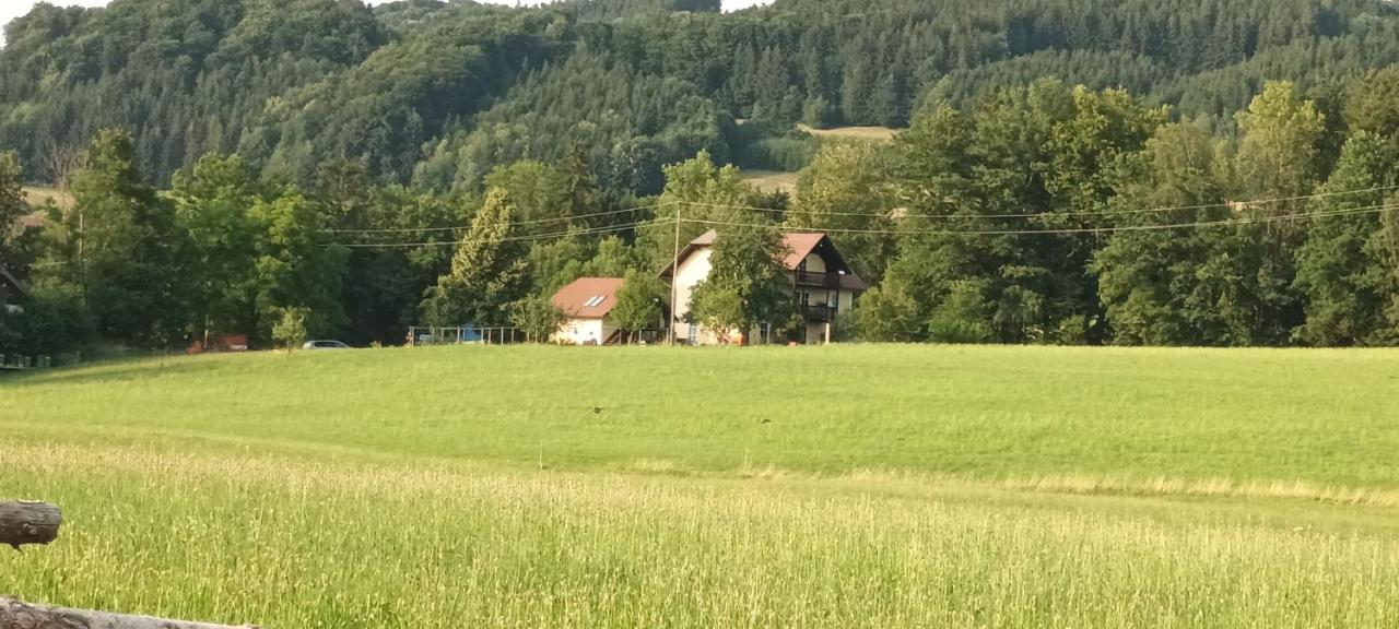 Hideaway Διαμέρισμα Zell am Moos Εξωτερικό φωτογραφία