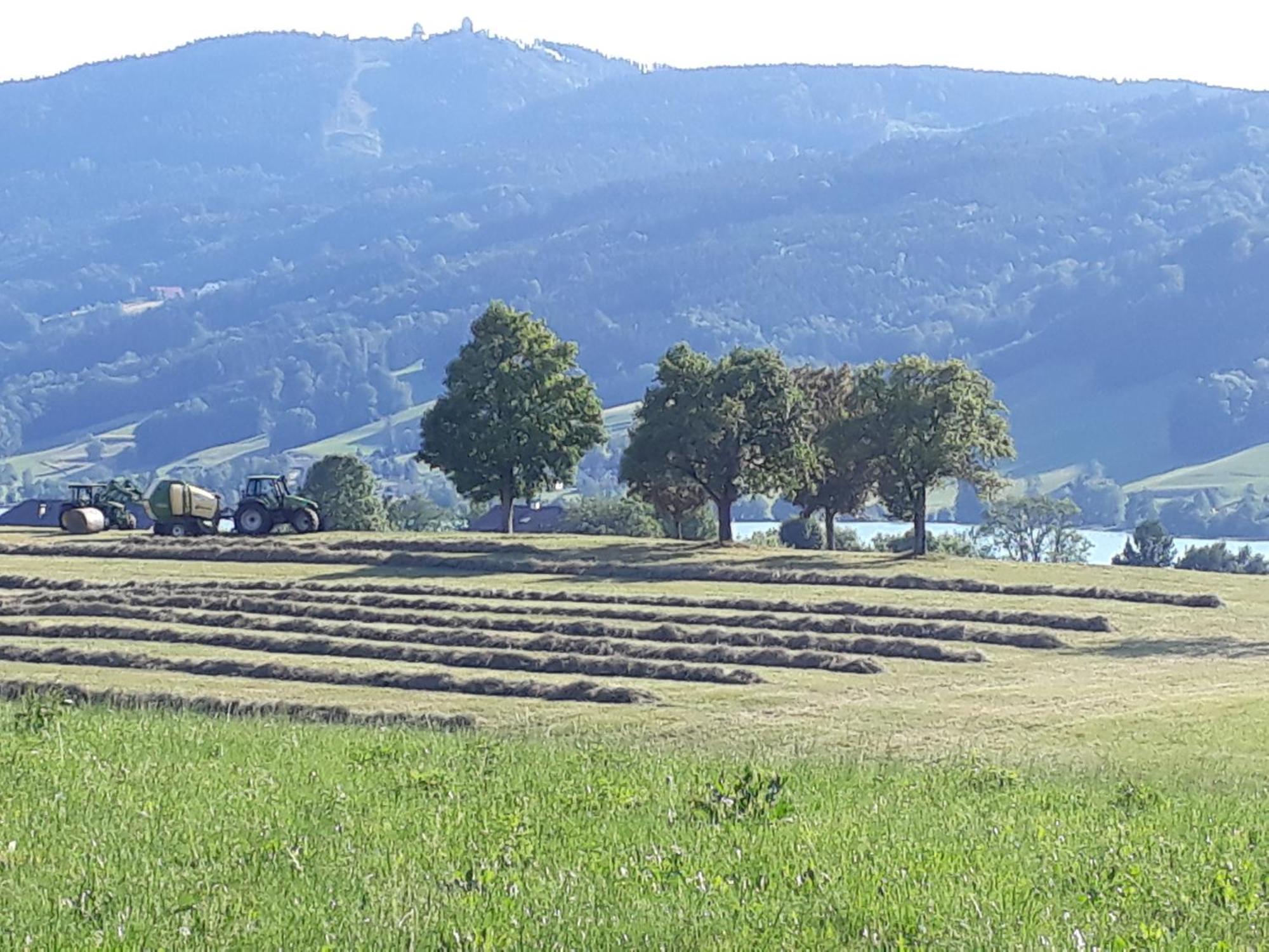 Hideaway Διαμέρισμα Zell am Moos Εξωτερικό φωτογραφία