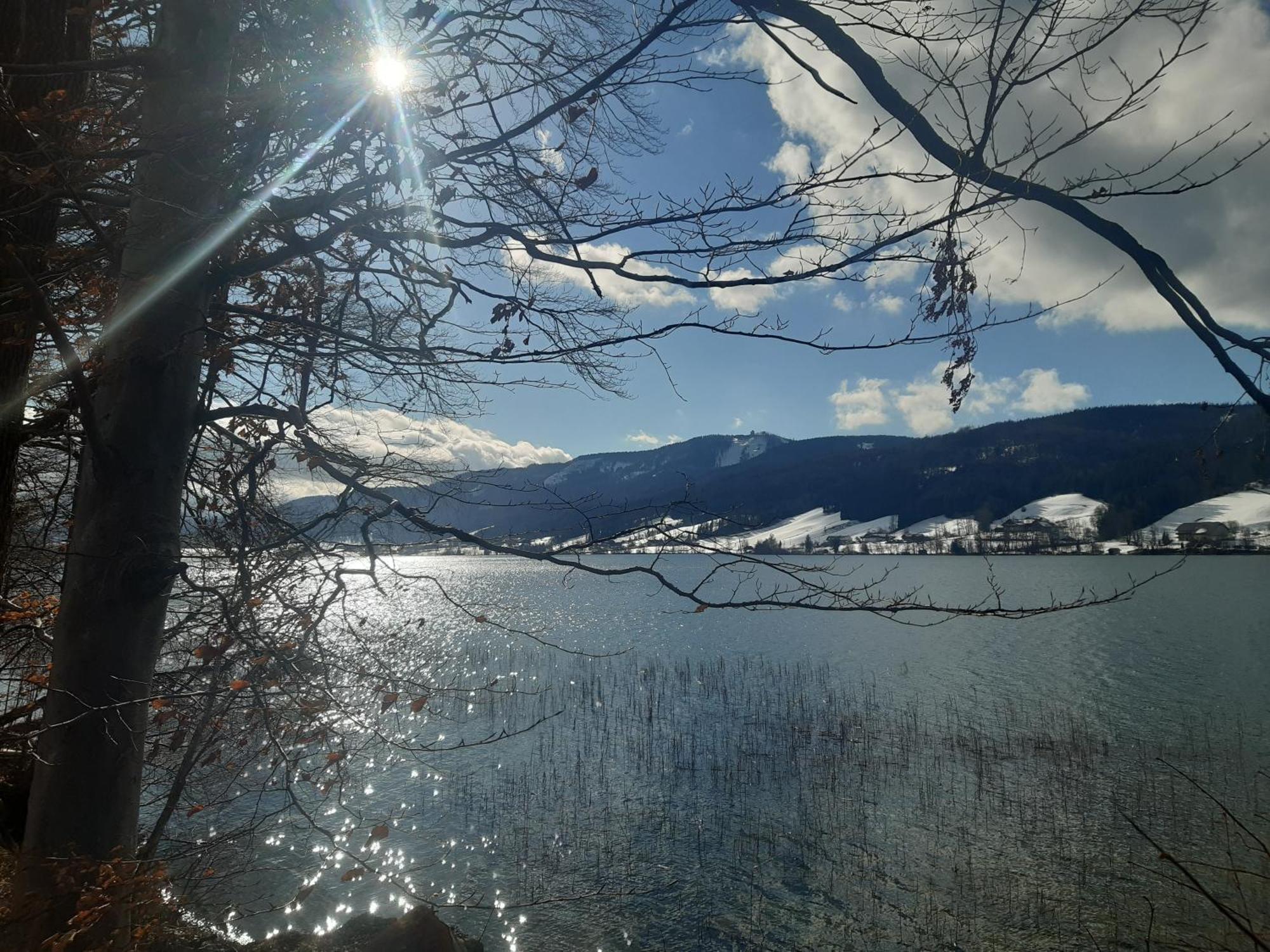 Hideaway Διαμέρισμα Zell am Moos Εξωτερικό φωτογραφία